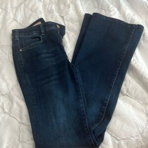 Anthropologie Pilcro Demilune Boot Jeans